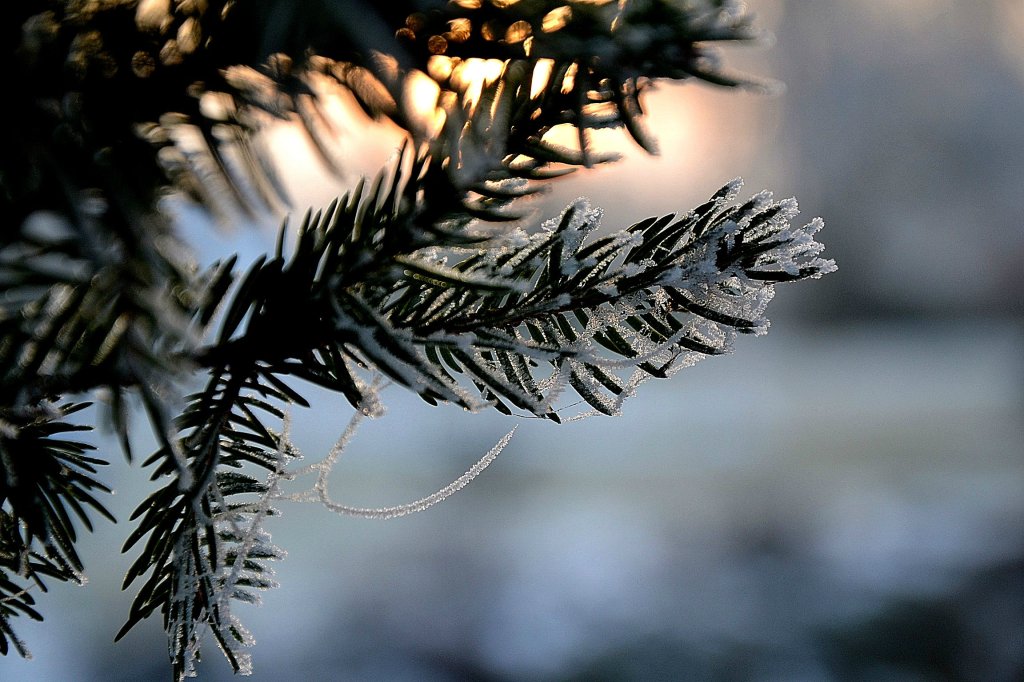 hello december