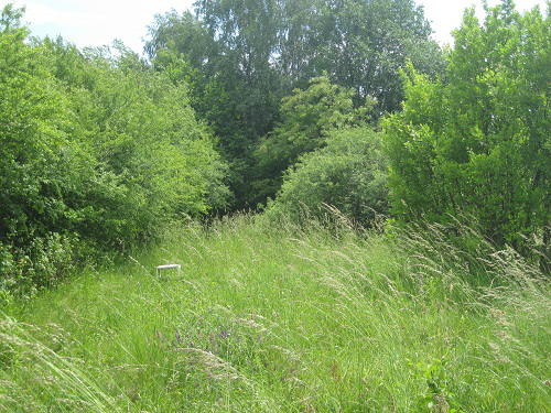 wakacje 2011