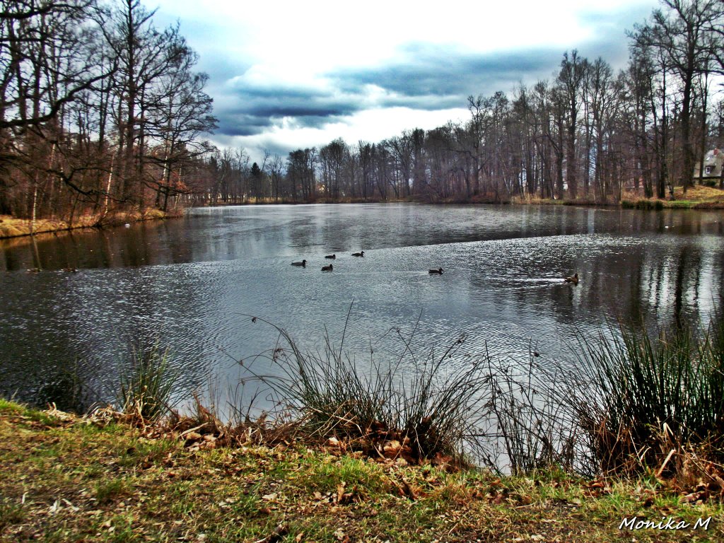 mysakowice