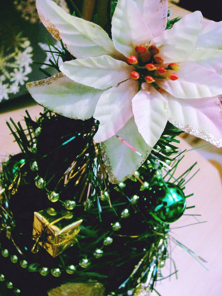 Christmas are coming