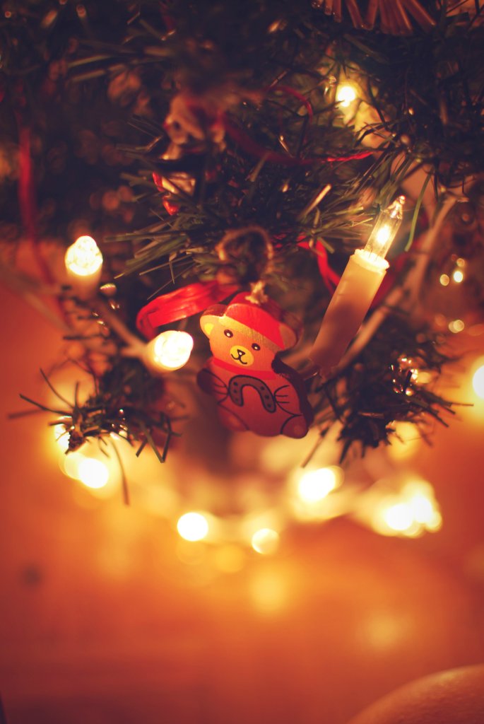 xmas time on baleya street