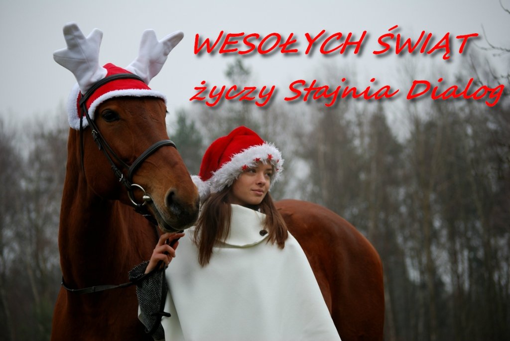 Wesoych wit