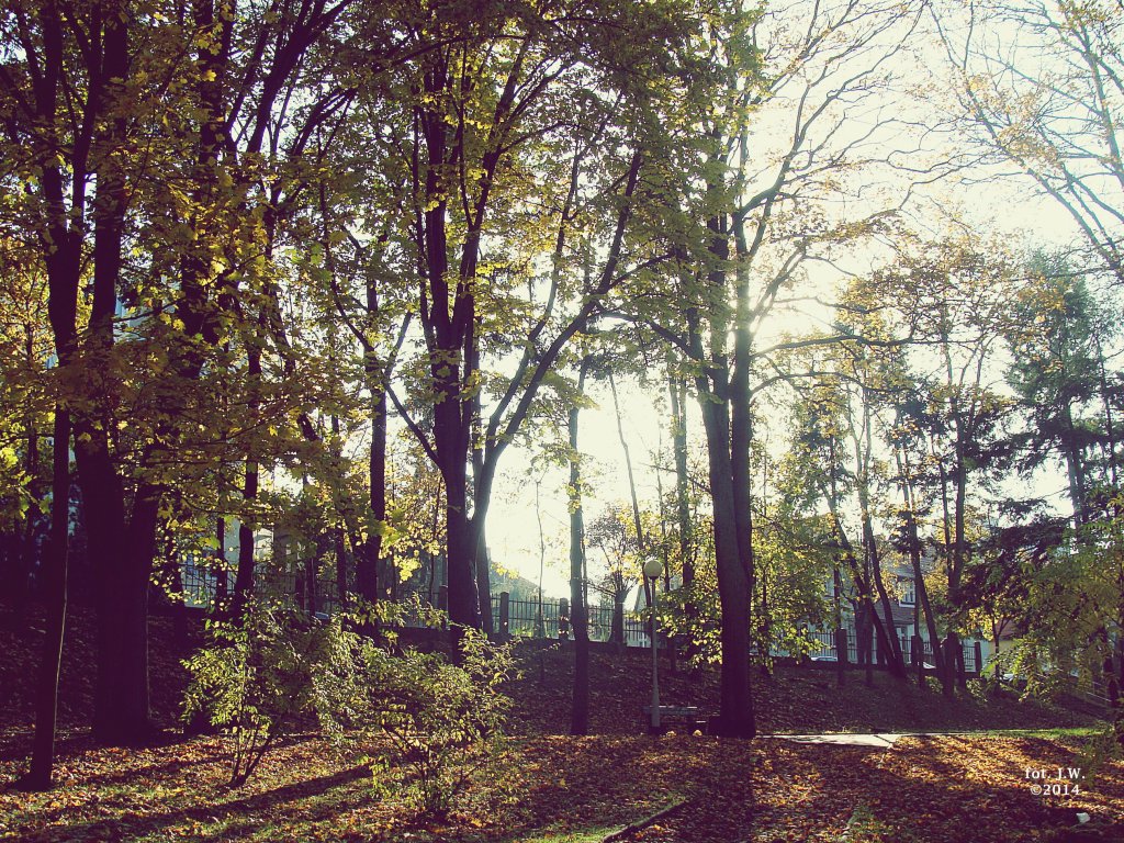 wtorek, 23 grudnia 2014