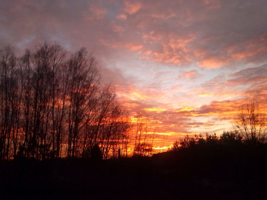 Co piknego 