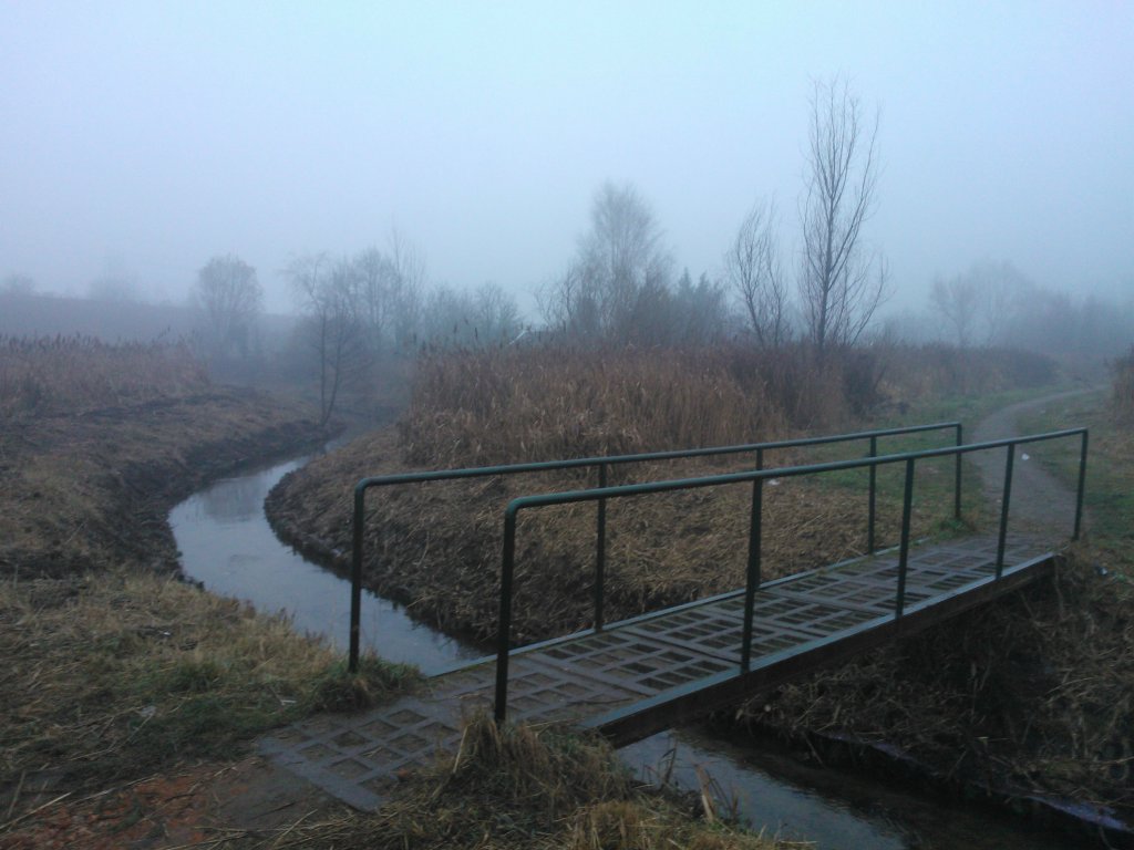 Bridge
