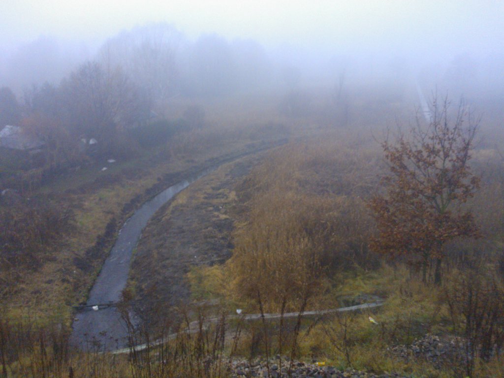 Bzura  