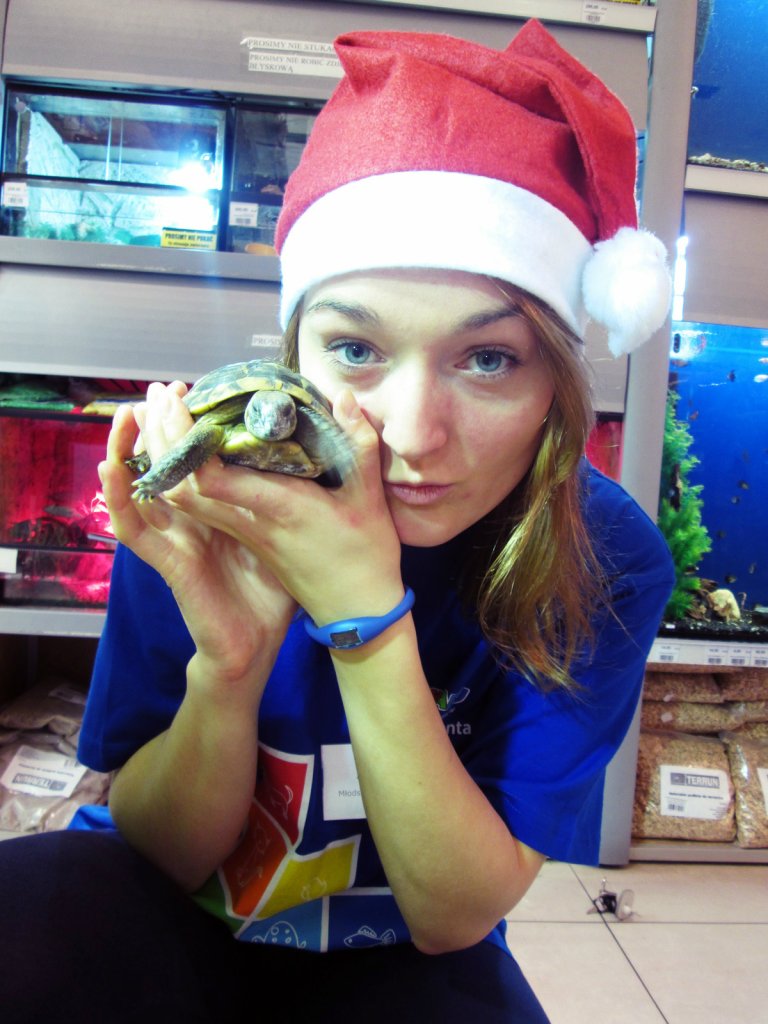 Turttle.