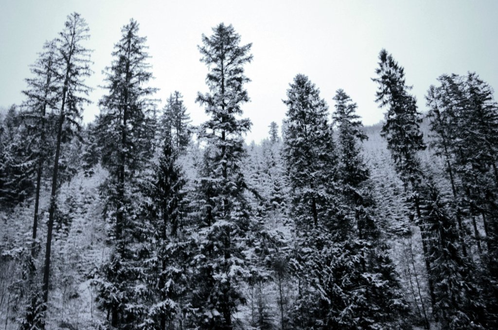 28.12.2014