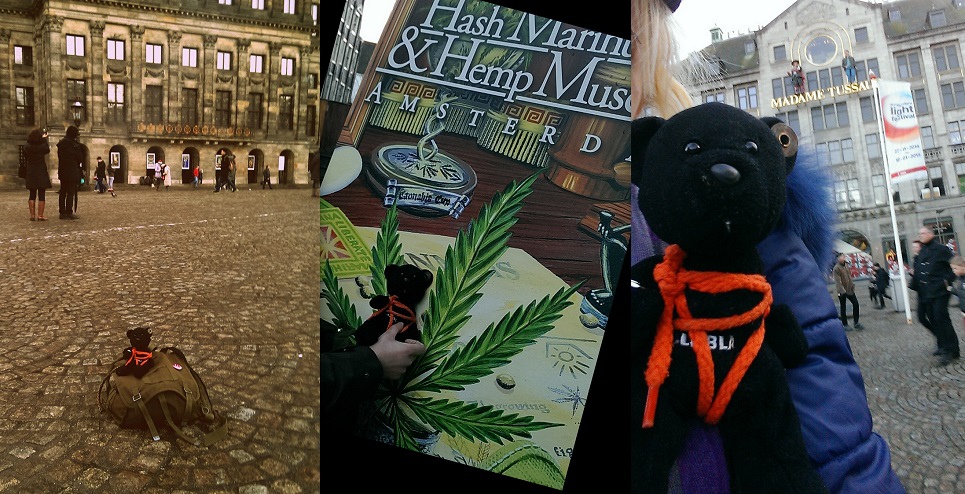 przechuj w amsterdamie
