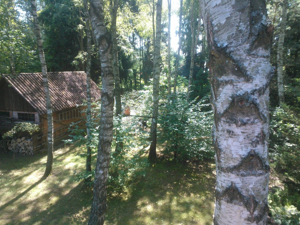 niebo.