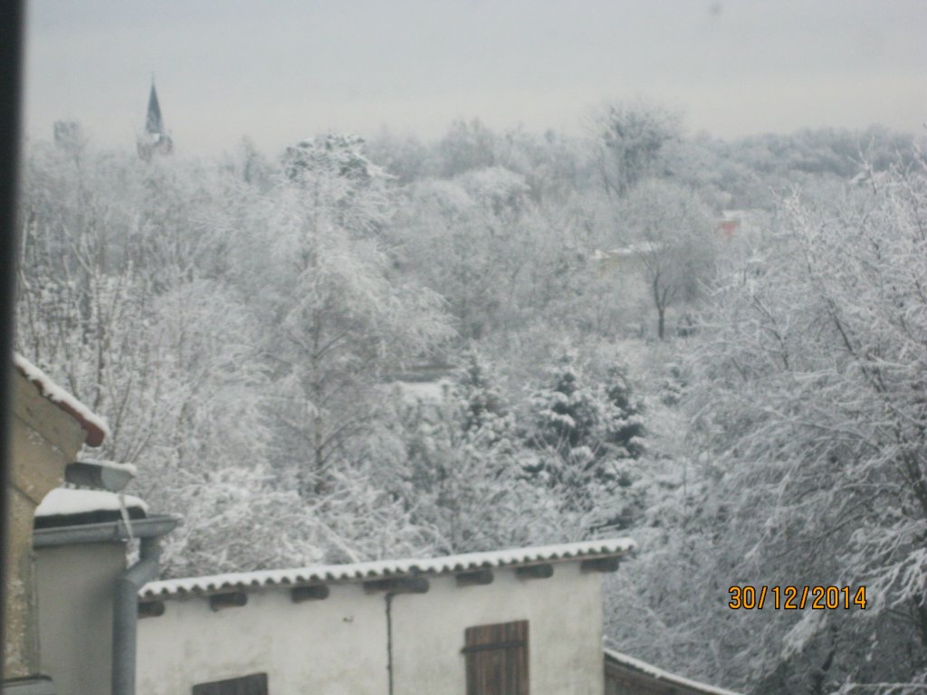 Zima
