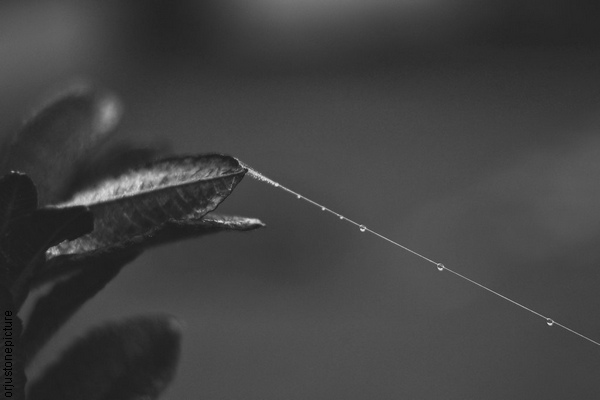 Frozen lifeline