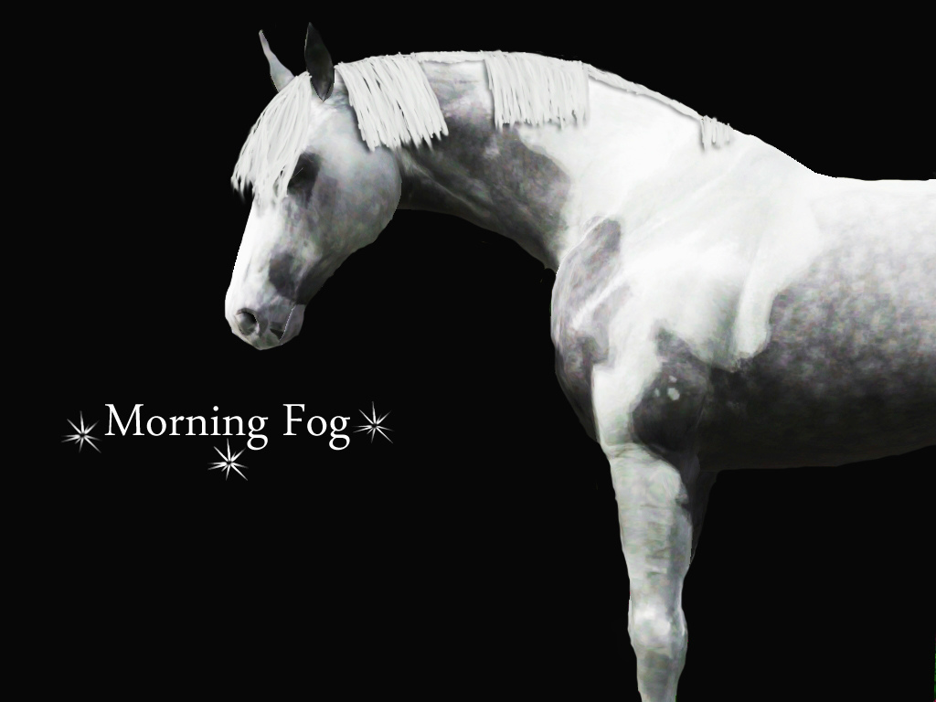 Morning Fog