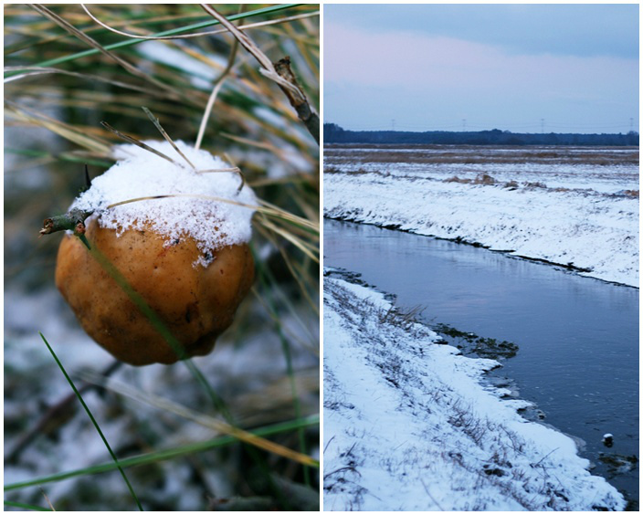 snow.