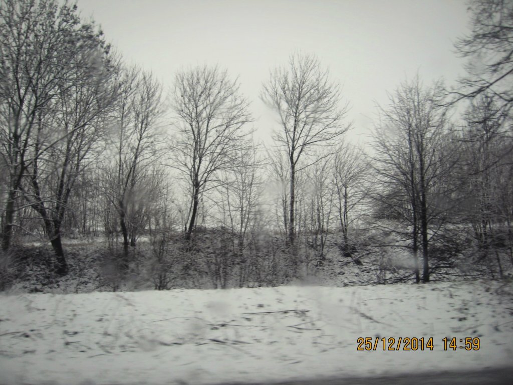 -1259- wpis