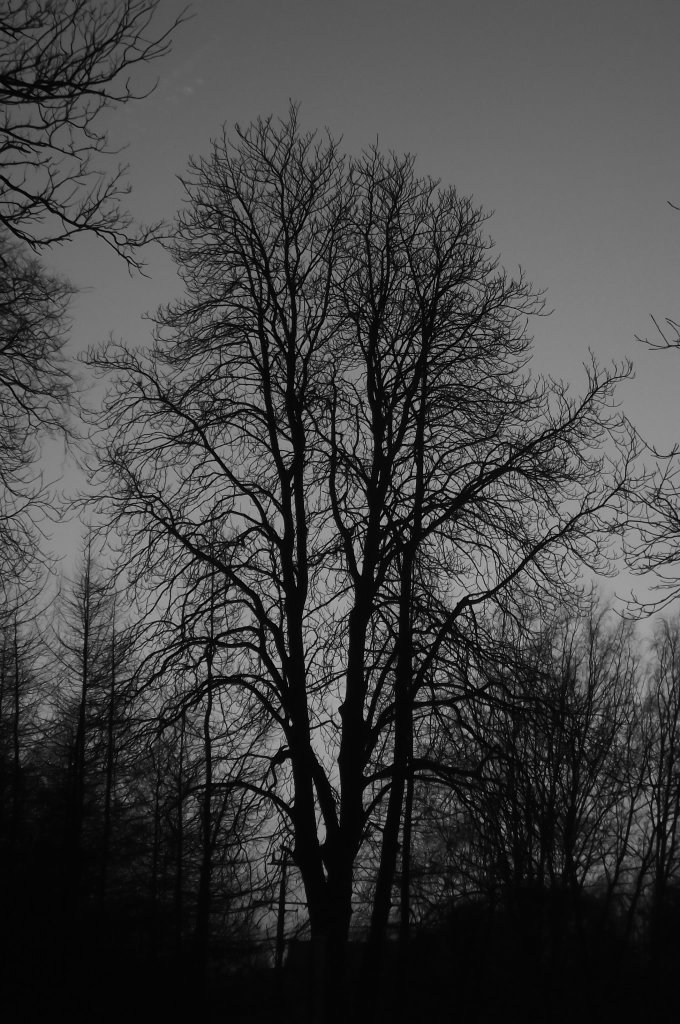 Stare, dobre czasy...