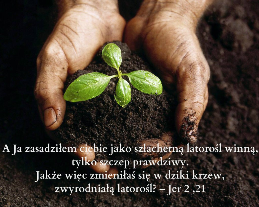 Dorastaj przy mnie ...