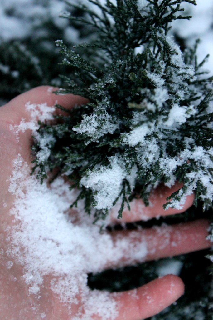 snow.