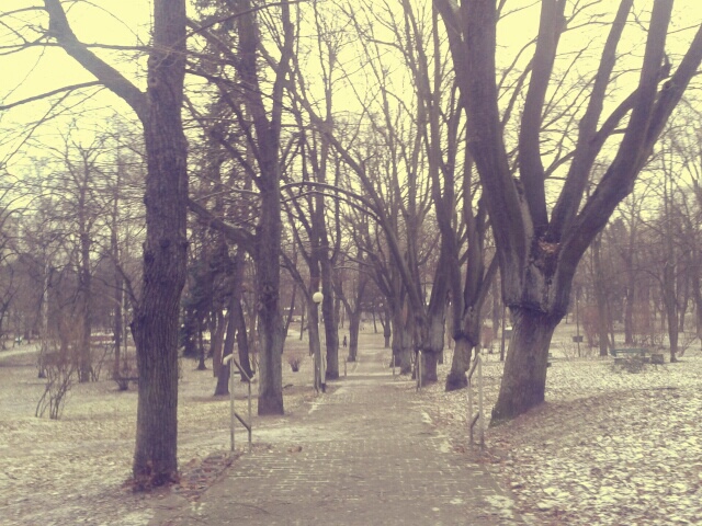 wtorek, 6 grudnia 2015
