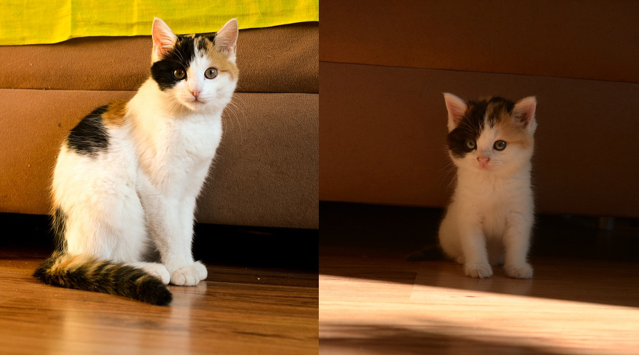 growing!