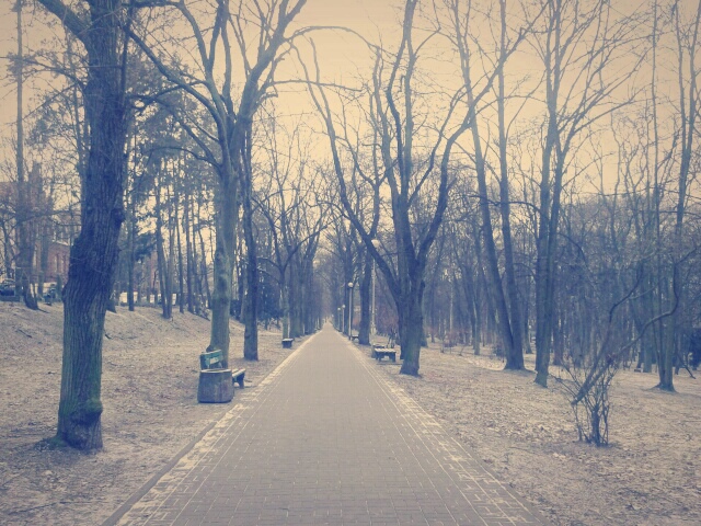 wtorek, 6 stycznia 2015