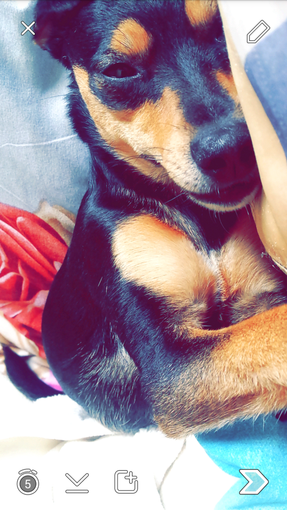 Tika ;)