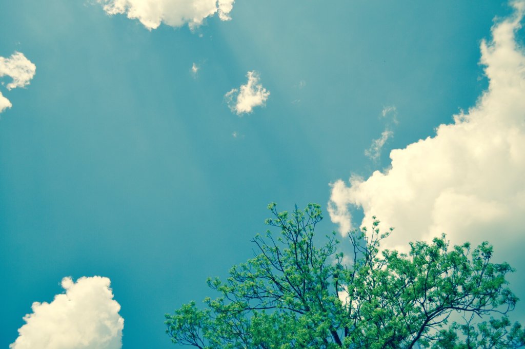 Lato, wr!&#9728;&#6503