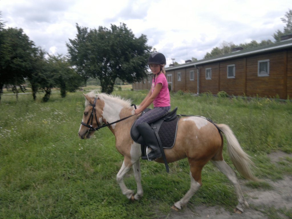 Nowe siodeko 