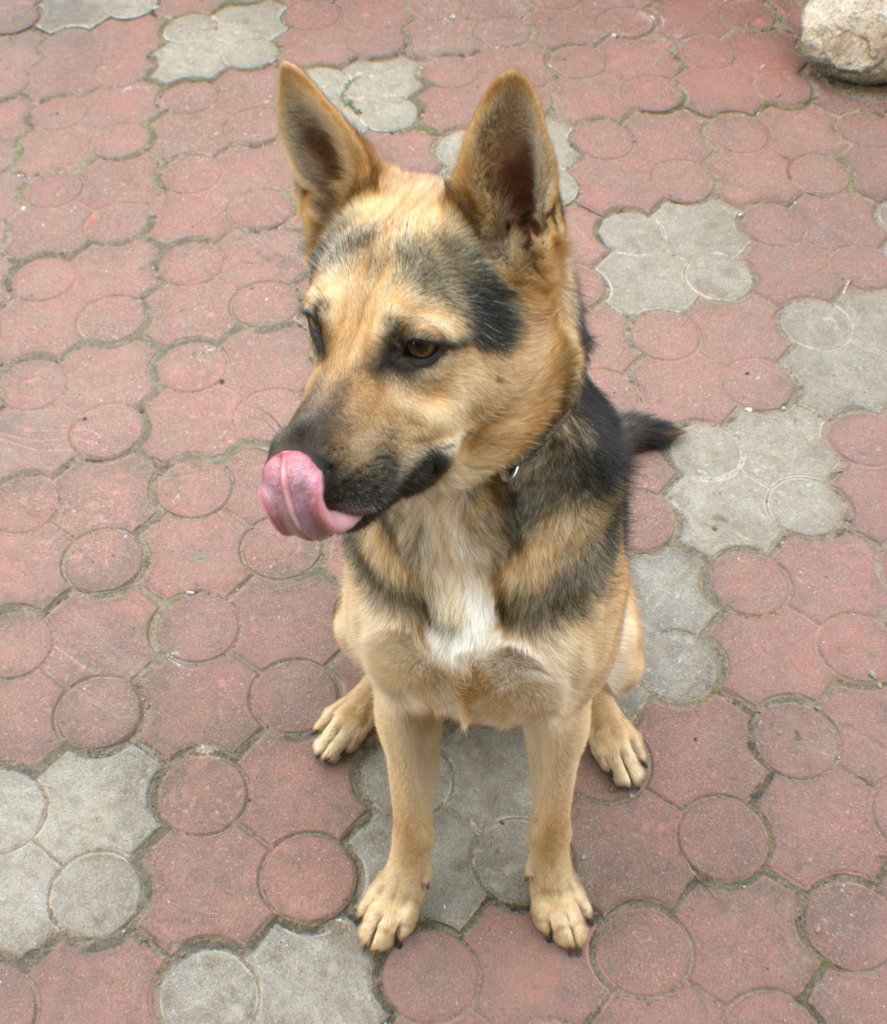 Yuki