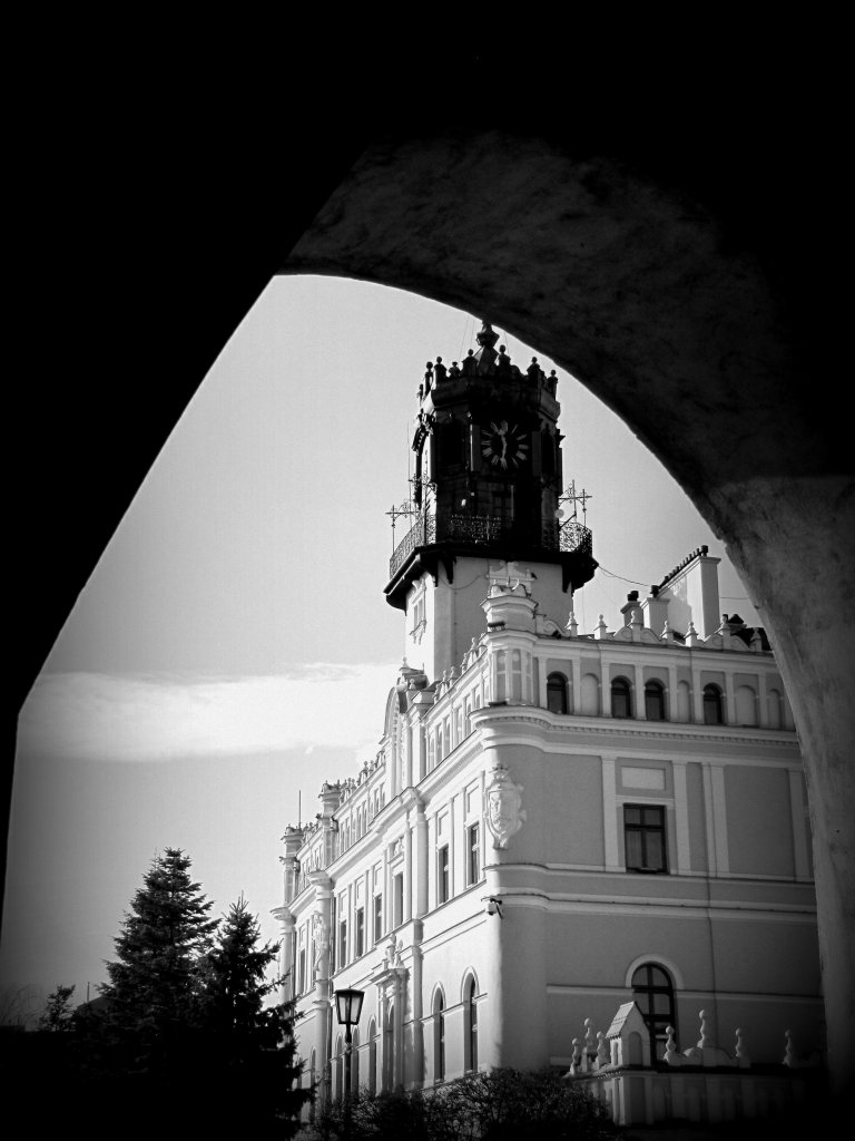 Czarno-biae