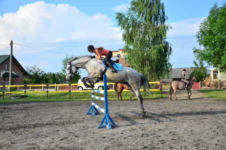Metr
