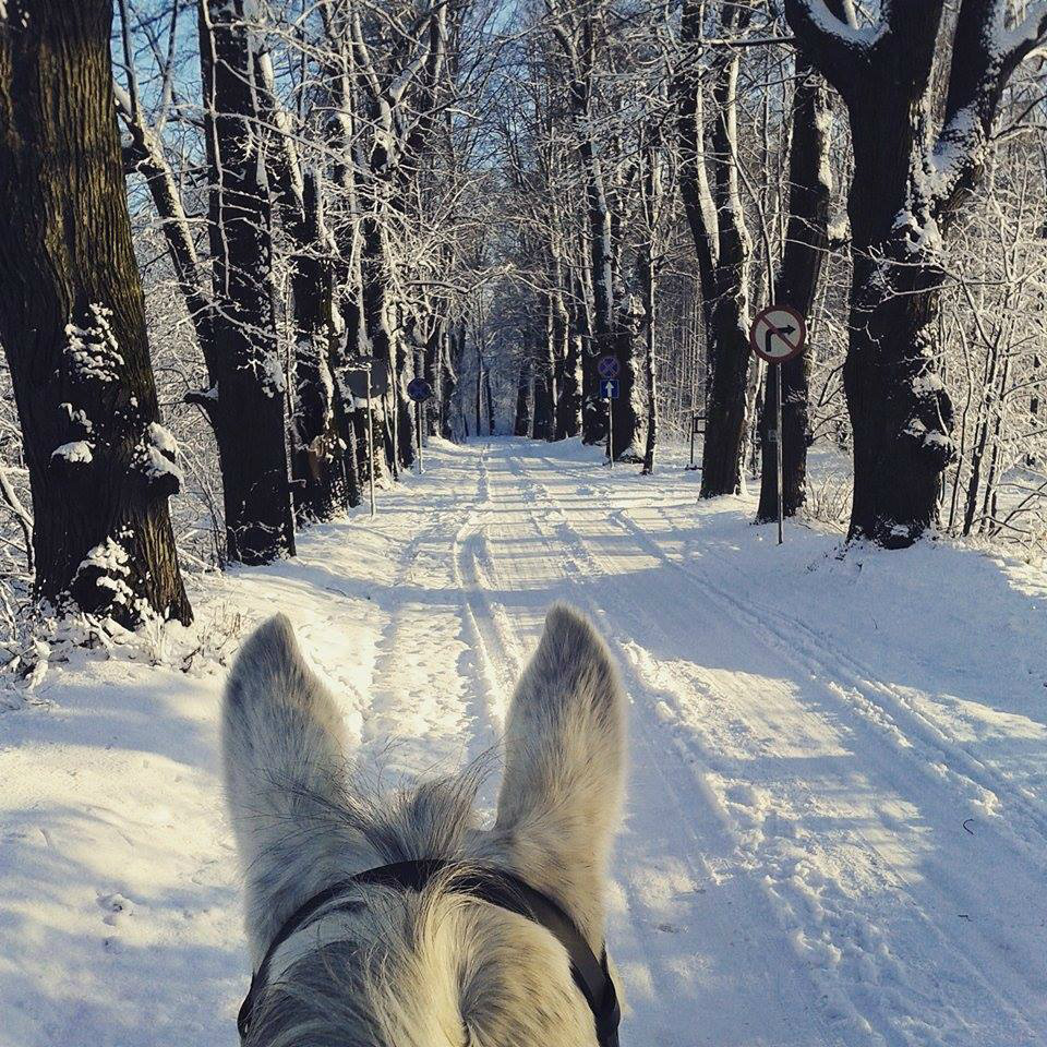 Winter walk ...