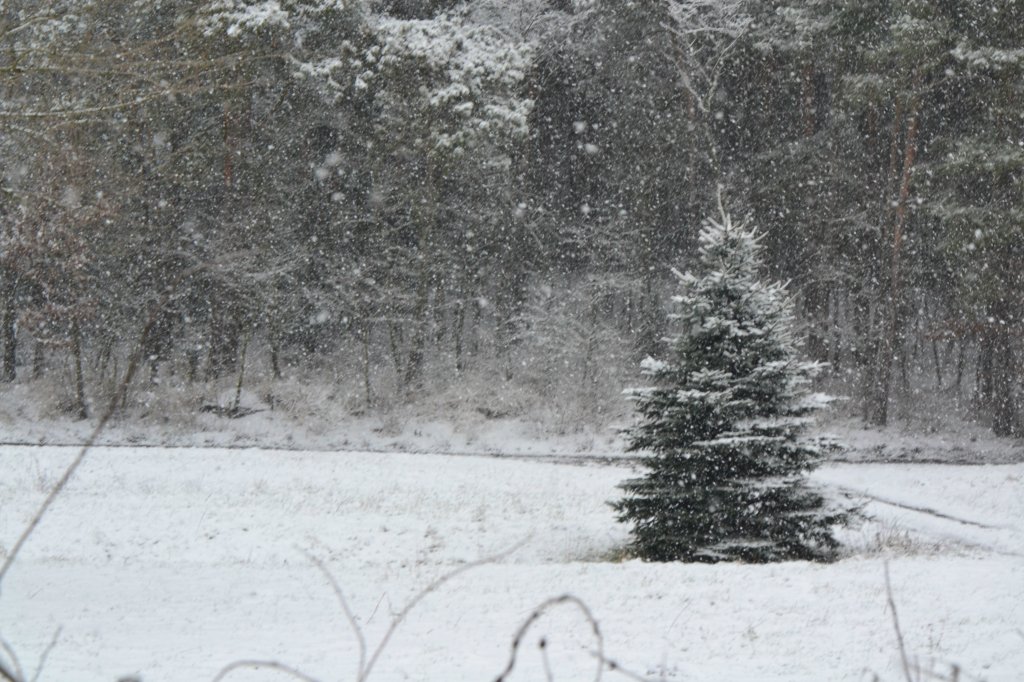 Let it snow !