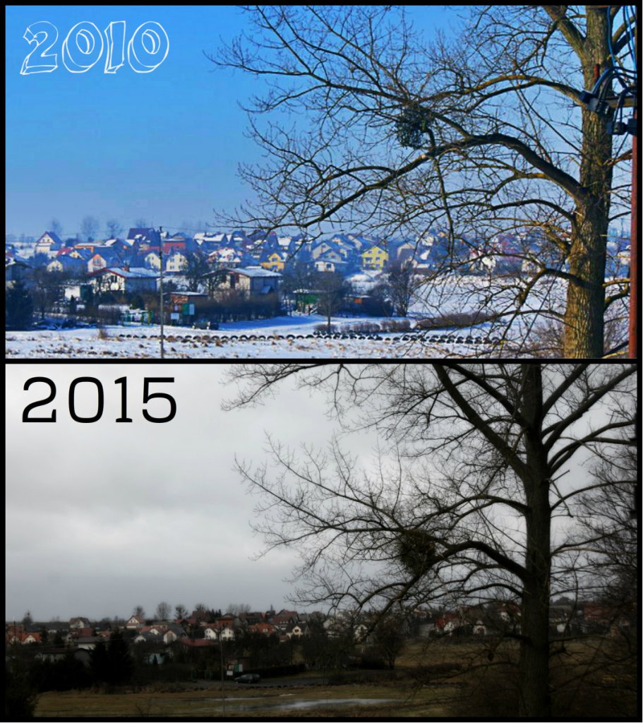 26.02.10 vs. 11.01.15