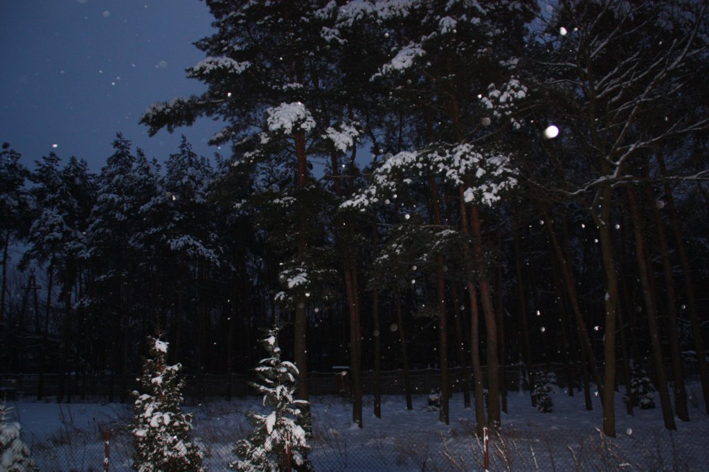 winter 2013