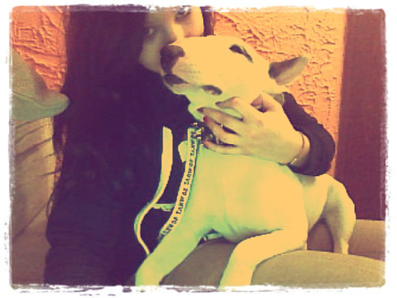 Hercia 