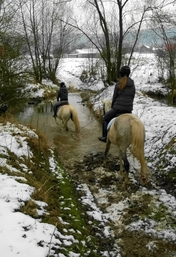 teren