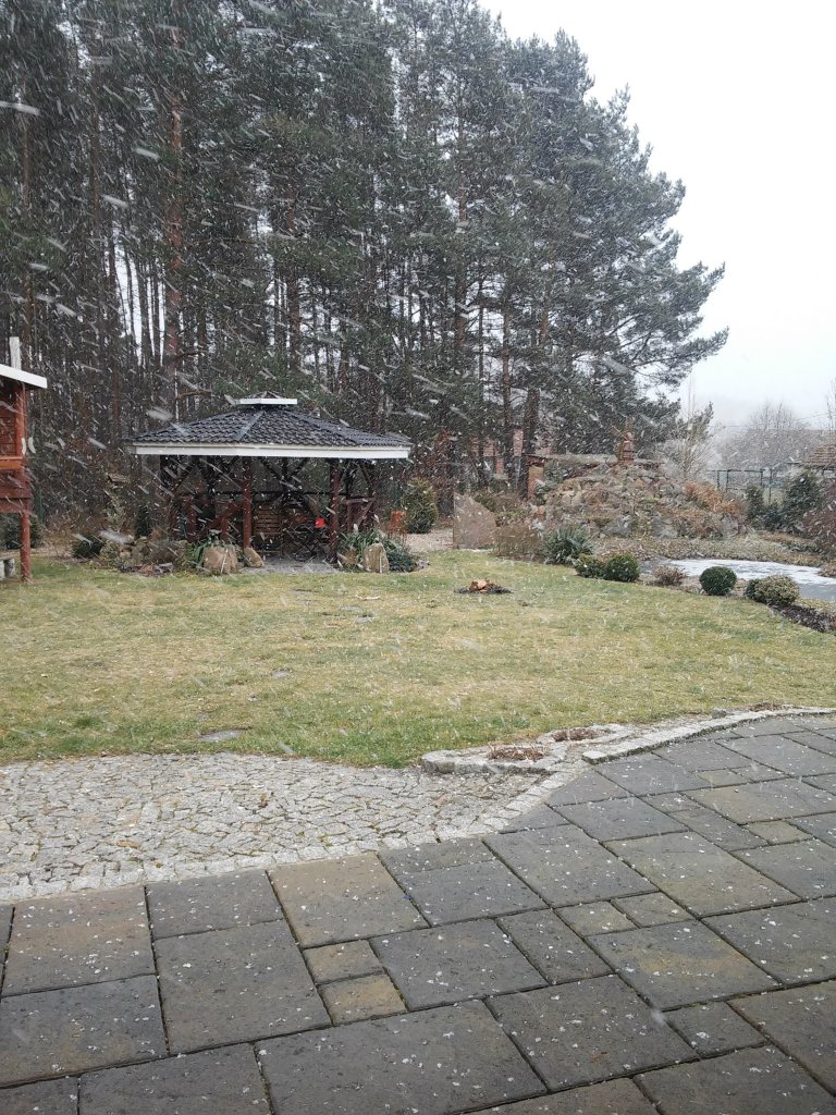 winter