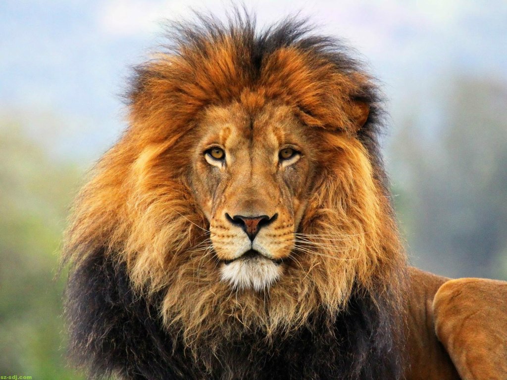 one love
