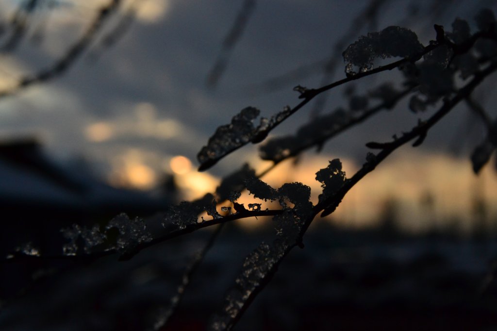snow