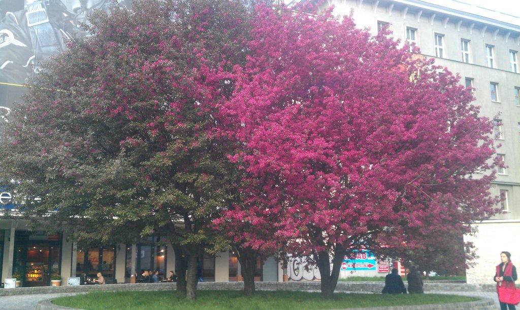 Spring in Warsaw