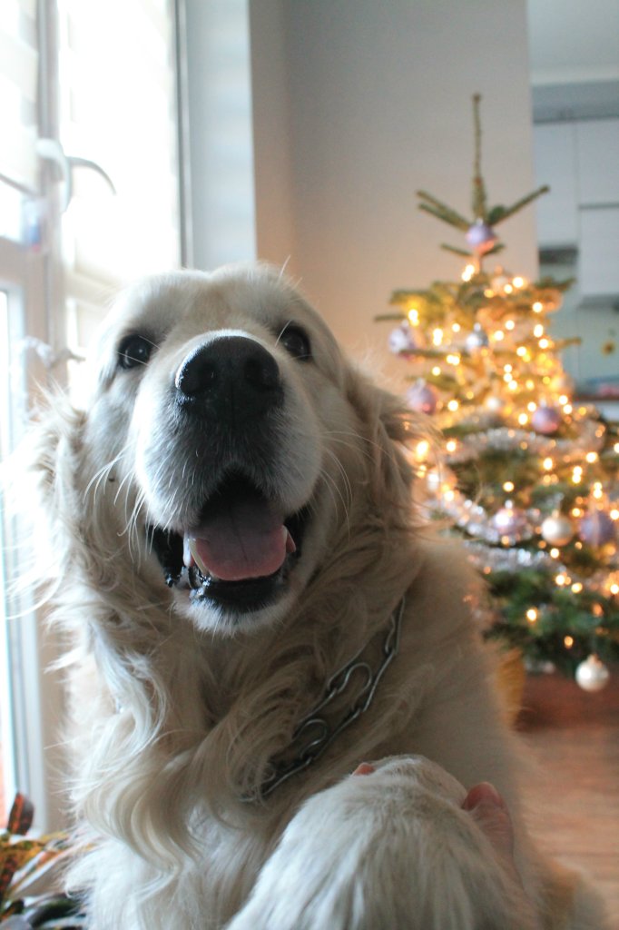 :)