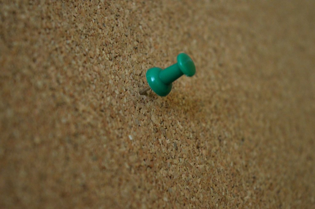 pin