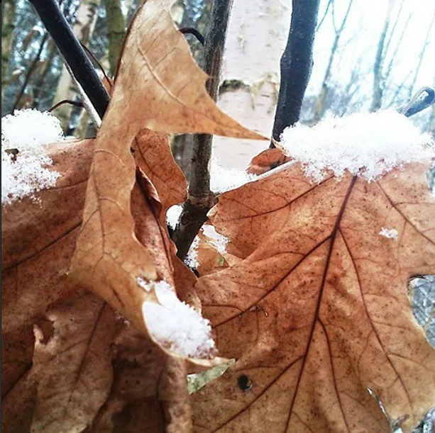 #Zima__Wiosna