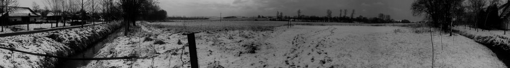black and white