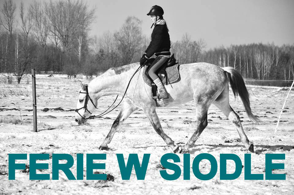 Ferie w Siodle