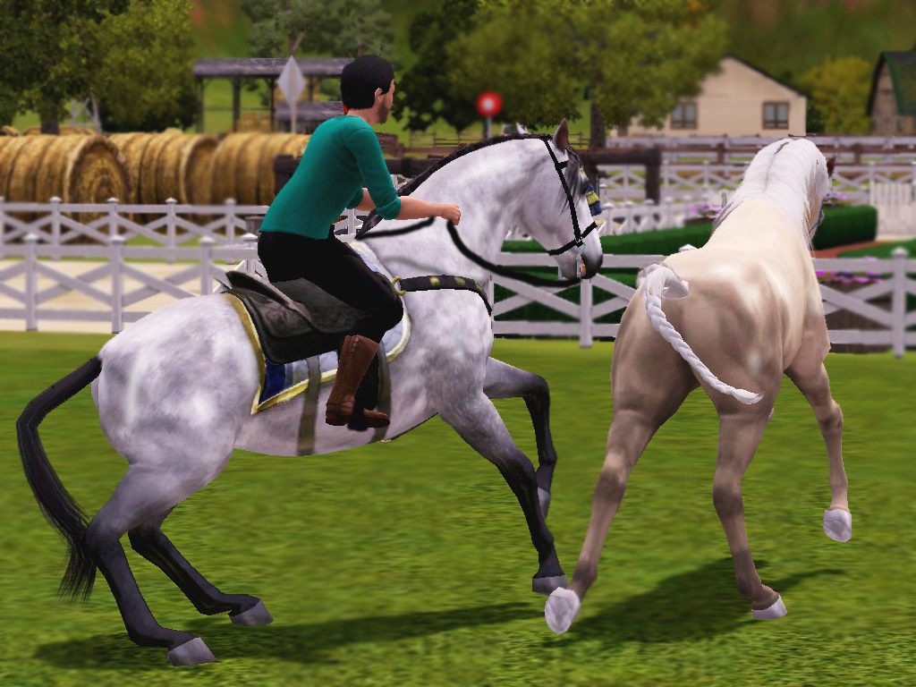 #6 El Caballero & Tajpai