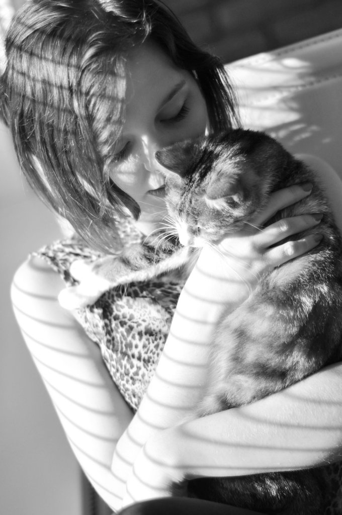 soft kitty