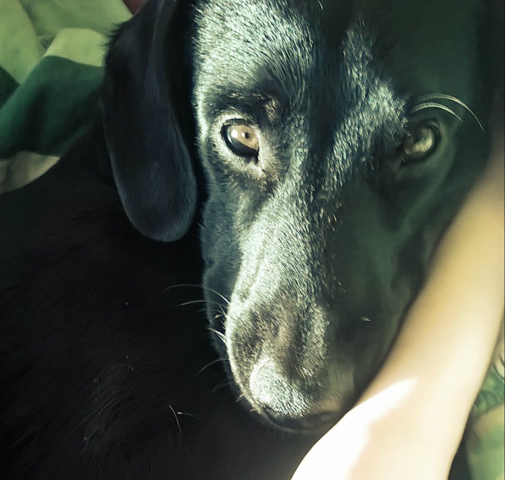 Anioek :p