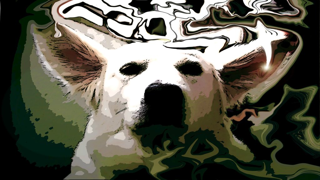 MOLI